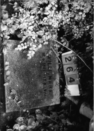 Grabstein 264