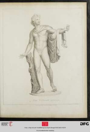 Plate 26 The Vatican Apollo