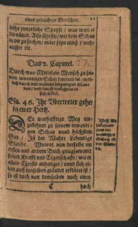 Das 2. Capittel. Durch was Mittel Mensch zu seinem inwendigen Schatz kommen sol ...