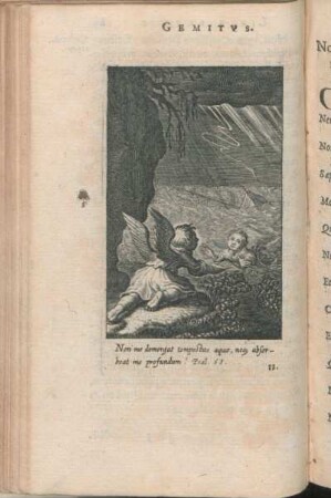 [XI.] Non me demergat tempestas aquæ, neq[ue] absorbeat me profundum! Psal. 68.