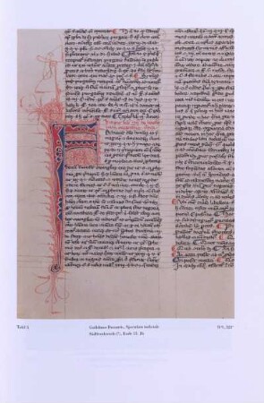 Tafel 5. Guilelmus Durantis, Speculum iudiciale, Südfrankreic (?), Ende 13. Jh., D 9,323v