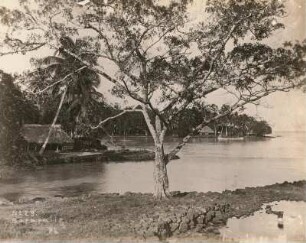 Samoa-Inseln. Küstenlandschaft bei Sapapalie