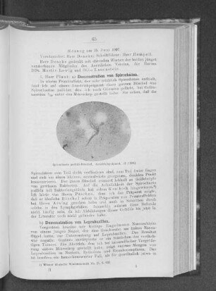 Sitzung am 25. Juni 1907.
