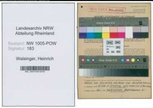 Entnazifizierung Heinrich Walsinger , geb. 07.01.1915 (Dekorationsmaler)