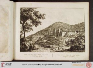 Die nord-westliche Ansicht des Heidelberger Schlosses
