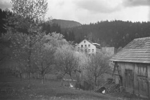Schneiderberg : Blick über den Lohberger Ortsteil Schneiderberg