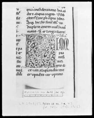 Bernhard von Clairvaux, Sermones in Cantitum Canticorum — Initiale M (emor), Folio 142 verso