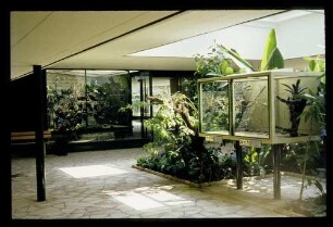 Zoo Vogelhaus 13.6.64.