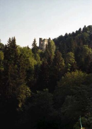 Herrenzimmern: Burg Herrenzimmern, seitlich von der Straße