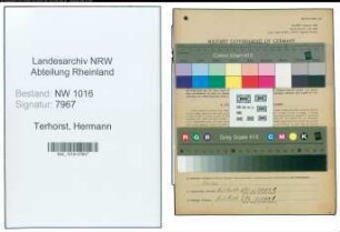 Entnazifizierung Hermann Terhorst , geb. 30.01.1904 (Landwirt)