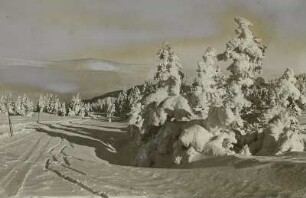 Riesengebirge. Am Spindlerpass