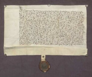 Bürgermeister, Rat und die ganze Gemeinde der Stadt Lauda leisten für den Fall des Ablebens ihres gegenwärtigen Herrn, des Grafen von Rieneck, auf Befehl des Pfalzgrafen Otto von Mosbach dem Landgrafen Friedrich von Leuchtenberg Eventualhuldigung.