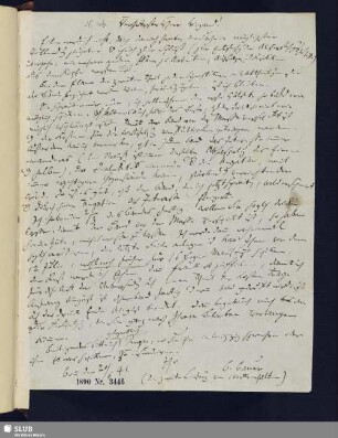 Nr. 146. Brief von Bauer, Bruno