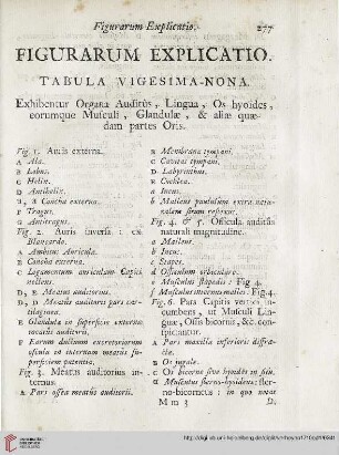 Figurarum explicatio: Tabula vigesima-nona