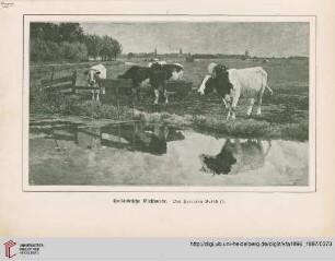 [Heft 19 (1. Juli 1897)]
