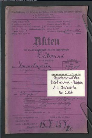 Angeklagter: Immelmann, Wilhelm: Waffenbesitz