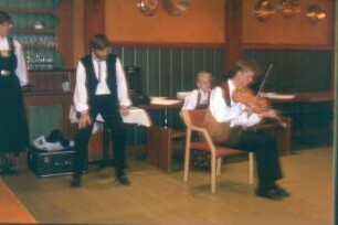 Norwegische Folkloregruppe, Geiger