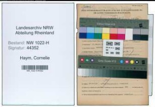 Entnazifizierung Cornelie Haym , geb. 19.02.1868 (Witwe)