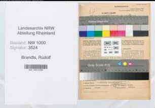 Entnazifizierung Rudolf Brandts, geb. 21.03.1913 (Hilfsarbeiter)
