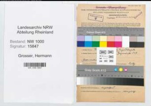 Entnazifizierung Hermann Grosser, geb. 09.01.1896 (Finanzoberinspektor)