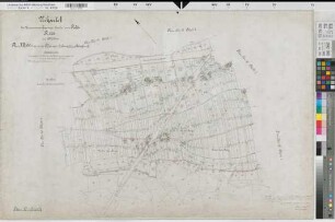 Rheine r.d.Ems (Rheine), Zusammenlegung Rodde, Urkarte I Flur 16,2