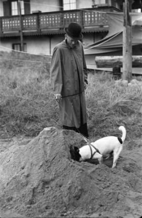 Berlin: Filmgelände der Terra, Marienfelde; Karl Valentin mit seinem Bopsi (Hund scharrt)