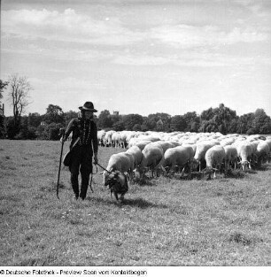 Richter auf Elbwiese
