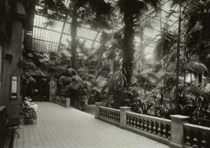 Frankfurt am Main, Palmenhaus : Frankfurt (Main), Palmengarten, Palmenhaus. Innenansicht