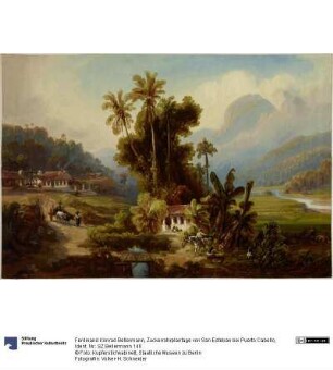 Zuckerrohrplantage von San Esteban bei Puerto Cabello