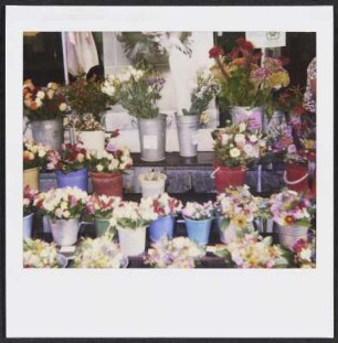 Blumenverkaufsstand in Bern