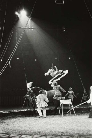 Zirkus im Madison Square Garden