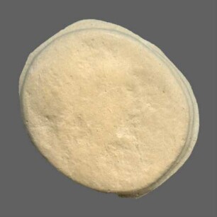 cn coin 1974 (Perinthos)