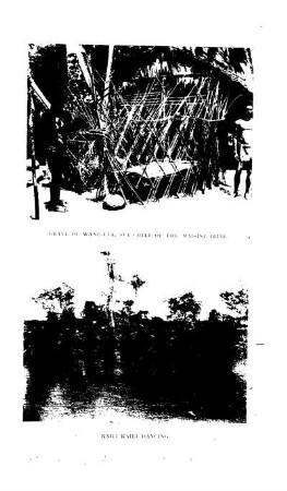 Grave of Wanigela, sub-chief of the Maisina tribe