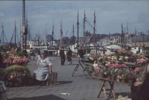 Reisefotos Norwegen. Bergen, Blumenmarkt im Hafen