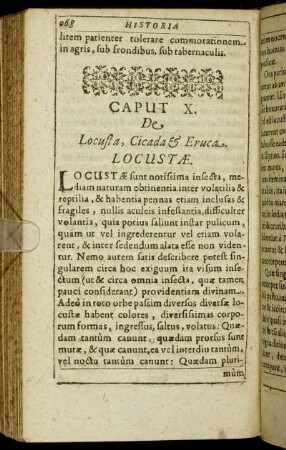 Caput X. De Locusta, Cicada & Eruca.