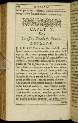 Caput X. De Locusta, Cicada & Eruca.