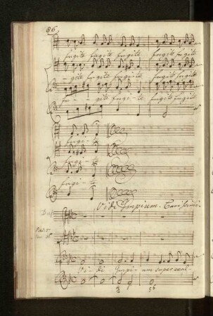 Vidi Impium. Carissimi