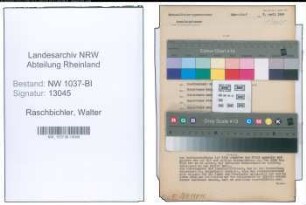 Entnazifizierung Walter Raschbichler , geb. 14.04.1900 (Ingenieur)