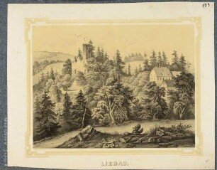 Die Burgruine Liebau über der Weißen Elster nördlich von Plauen im Vogtland, aus dem Album der Rittergüter und Schlösser im Königreiche Sachsen, 5. Bd.