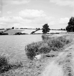 Moorteich mit Schilfsaum: im Hintergrund Knicklandschaft