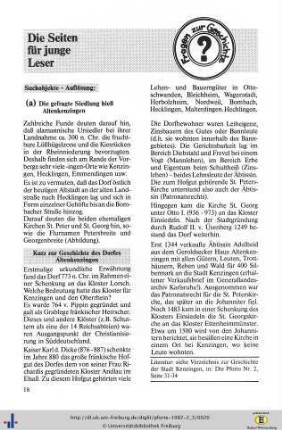 Für junge Leser (Die Burgruine Lichteneck)