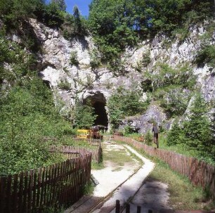Pockau-Lengefeld. Kalkwerk 4 A. Blick zur Bruchsohle