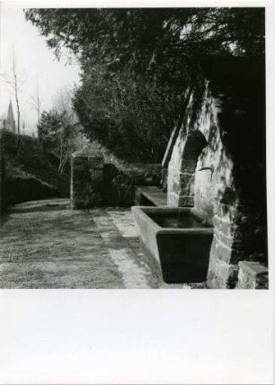 Brunnen am Schlossberg in Freiburg