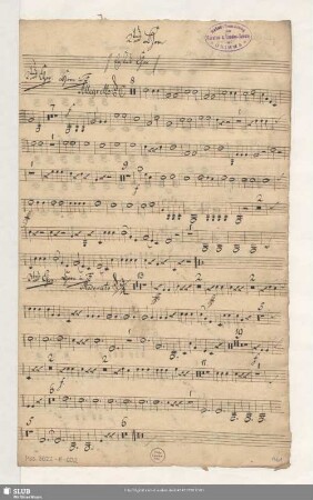 2.tes Horn