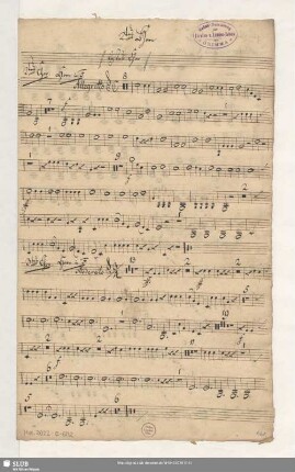 2.tes Horn
