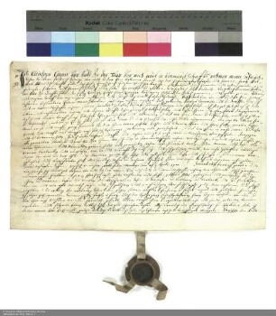 Revers Christoph Kaspars von und zu der Tann bezüglich der Belehnung mit vier Gütern in Neuswarts durch Adalbert [von Schleifras], Abt von Fulda
