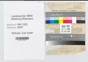 Entnazifizierung Carl Josef Schulze , geb. 23.03.1902 (Rechtsanwalt)