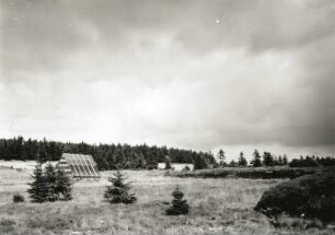 Osterzgebirge. Georgenfelder Hochmoor. Quellgebiet des Neugrabens. Blick nach Nordwesten