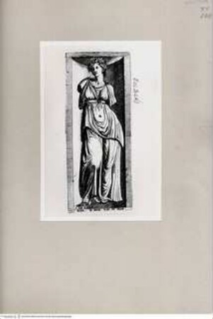 Flora Del Pal. del Cardinale della Valle