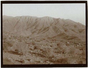in w. [wadi] rahabi Blick n. O [Wadi rahabi]
